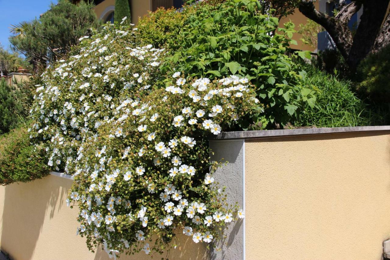 Le Vallon De Saint Andre Limonest Exterior foto